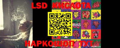 spice Новодвинск