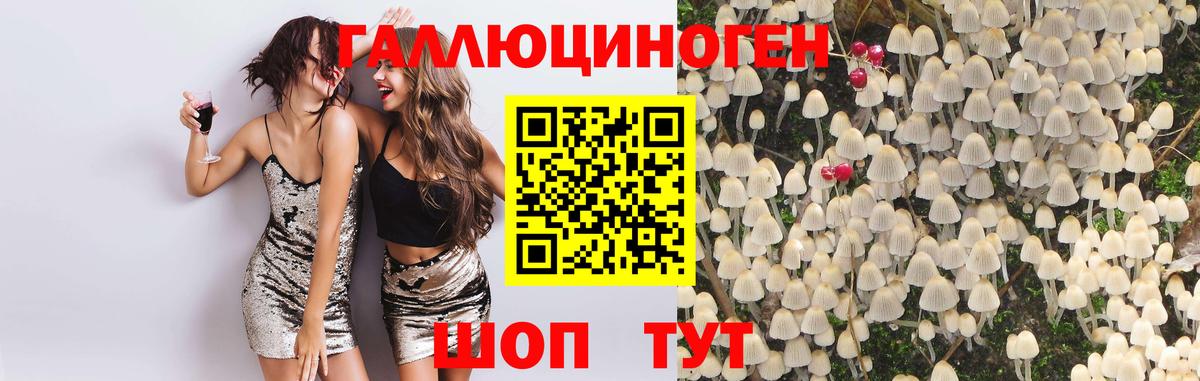 Галлюциногенные грибы GOLDEN TEACHER  Вход с VPN  Фурманов 