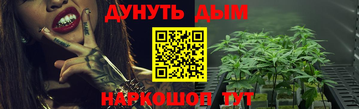 Фурманов  Бошки марихуана Bruce Banner  Вход с VPN  Бошки марихуана сатива 